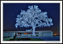 Digital-photo-holiday-lights