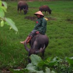 img_0403 img 0403