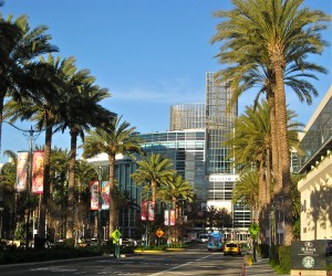 PMA2010 IMG 09921 300x250