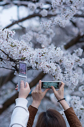 How Smartphones Have Impacted Photography