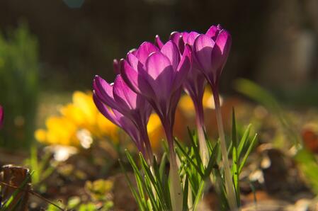 Start Your Spring Cleaning with Photo Scanning Services